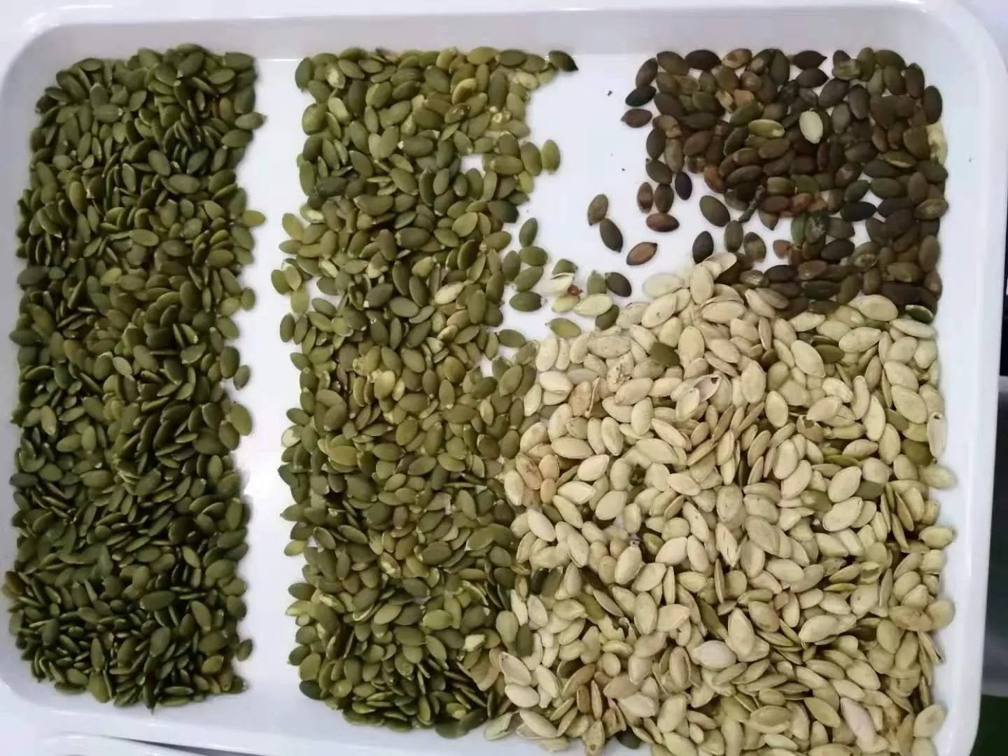 WENYAO High Accuracy Nuts Color Sorter with CCD Cameras for Seed Grain Beans