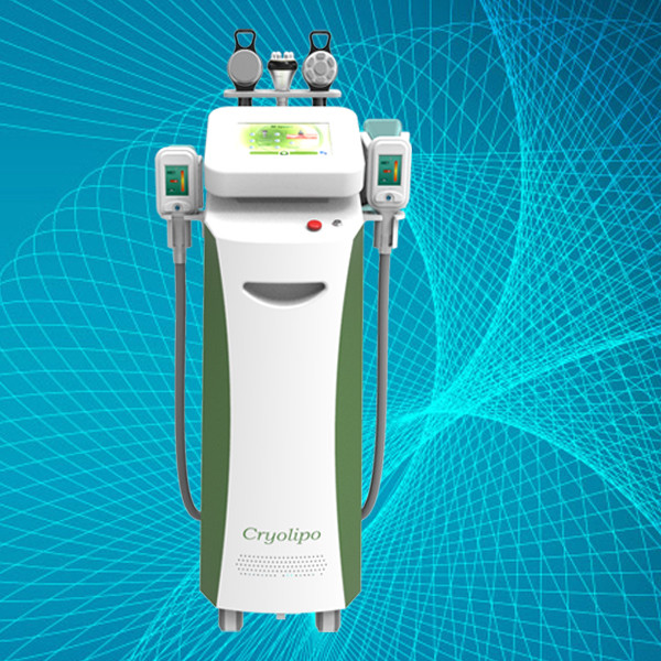 Quality Newest Cryo Slimming Fat Freeze Machines Cryolipolysis laser wholesale