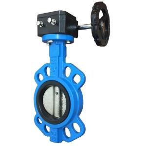 Cheap Custom Lug Ductile Iron Butterfly Valve Double Flange MSS SP67 for sale