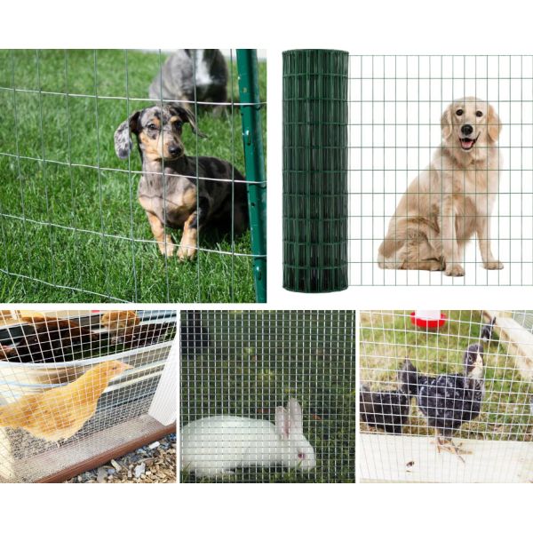 5/8'' Mesh Size Electric Galvanized Welded Wire Mesh with Galvanized Before Welding