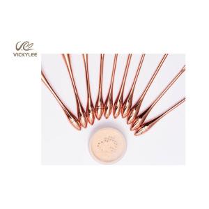 Artificial Fiber Wool 10 In1 18.8CM Professional Brush Set