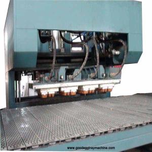 apple fruit tray processing machinery(FC-ZMW-4)