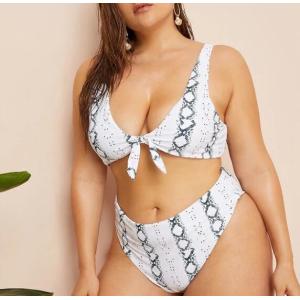 2019 New Plus SizeTwo piece Swimsuit Women Push up