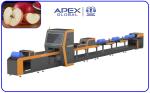 360 Degree Rotational Scanning Apple Sorting Machine Computer Control