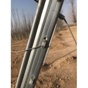 Long Lasting Galvanised Metal Fence Posts , Vineyard Trellis Stakes 0.45m -3.0m