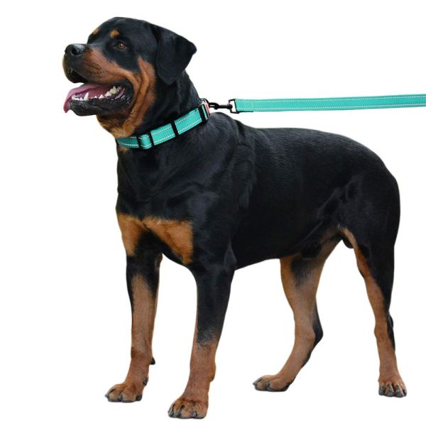 Reflective Soft Nylon Dog Collars And Puppy Collars