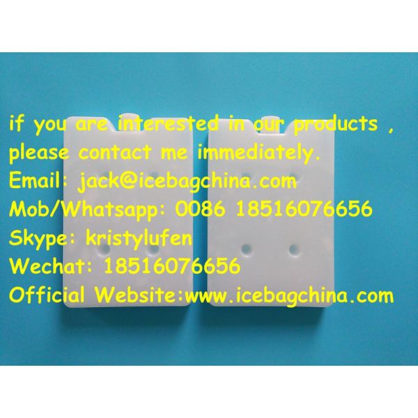 Trip Essential Cold Storage Reusable Ice Pack For Food Freshness