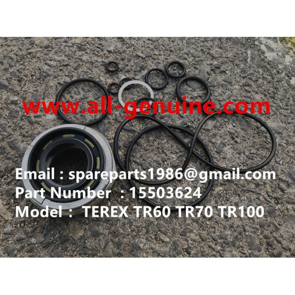 Quality 15503624 SERVICE KIT  TEREX NHL DUMP TRUCK TR100 HAULER TRUCK OFF HIGHWAY wholesale