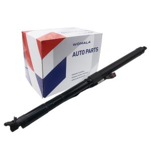 31455987 Power Operated Tailgate Left And Right Drive Unit For XC60 2017