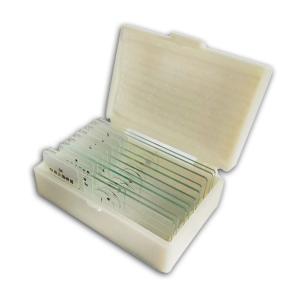 Medical Teaching Research Algae Botany 10pcs Pre Prepared Microscope Slides