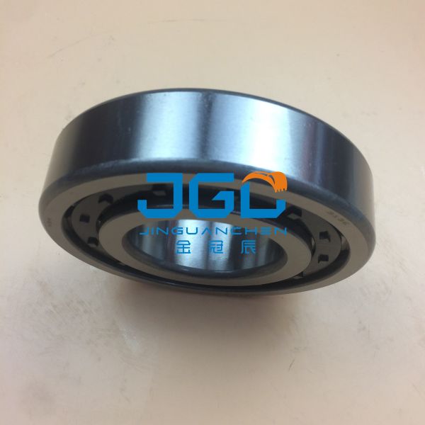 Rotary ECM C3 Cylindrical Roller Bearing NJ313 Excavator Accessories