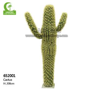 Height 200cm Artificial Succulent Plant , Artificial Large Cactus Plants