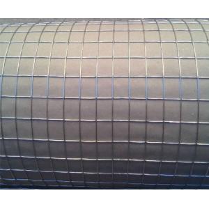 Chicken Cage BWG18 Green Pvc Coated Welded Wire Mesh