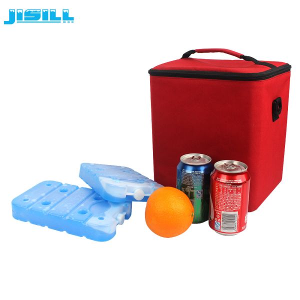 Portable reusable hardshell plastic durable insulation brick for ice cream cart