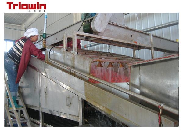 Quality Concentrated Tomato Paste Making Machine , Tomato Sorting Machine With Pre Washing Unit wholesale