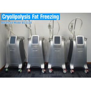 China CoolSculpting Cryolipolysis Body Slimming Machine / Fat Reduction Equipment Painless on sale