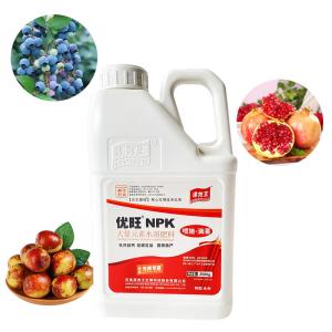 Slow Release NPK Water Soluble Fertilizer Plant Growth Regulation