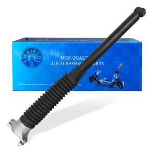 Rear Suspension Strut Car Shock Absorber 1773206303 For Mercedes Benz A-Class