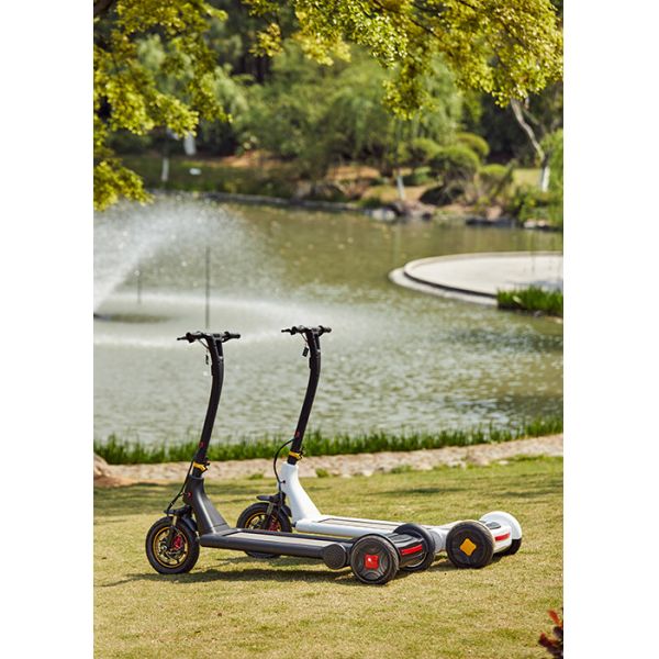 Quality 36V Electric Stand Up Scooter wholesale