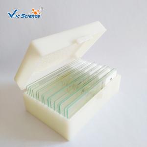 Medical Lab Stage Microscope Slide Female Mosquito Mouth Parts