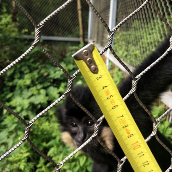 Breeding Pigeons Metal Rope Mesh Bird Cage Cable Netting For Zoo Aviary