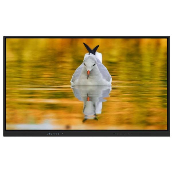 LED Interactive Whiteboard EDLA Google Certified Android 14 15 8+128G Speaker