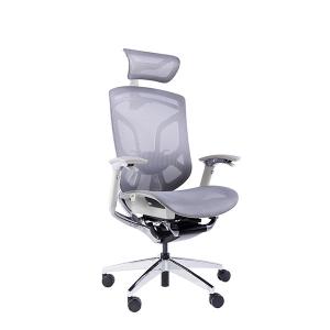 Dvary Adjustable Office Chair Ergo Mesh Manager Sync Sliding 4 Gas Lift