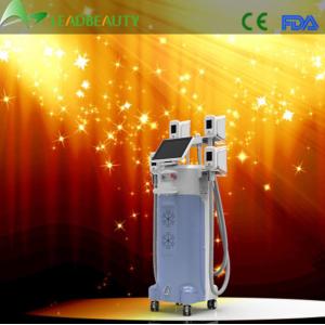 2015 multifunction lose weight 4 cryolipolysis heads 4 handls cryolipolysis