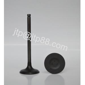 Intake & exhaust Valve For Nissan PE6 Engine IN 13201-96002/EX 13202-96002
