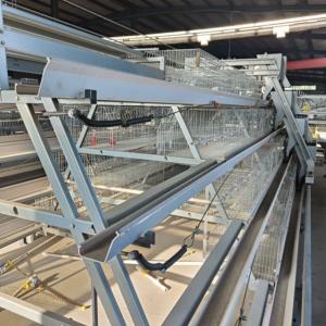 Q235 A Type 4 Tiers 160 Birds Hens Auto System Egg Laying Design Chicken Layers