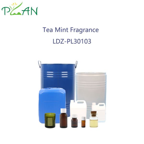 Quality Concentrated Tea Mint Fragrance Essence For Diffuser Reed Sticks Scented Candles  wholesale