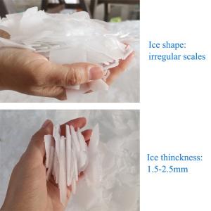ICEMA Factory Supply Freshwater Ice Flake Making Machine Flake Ice Maker for