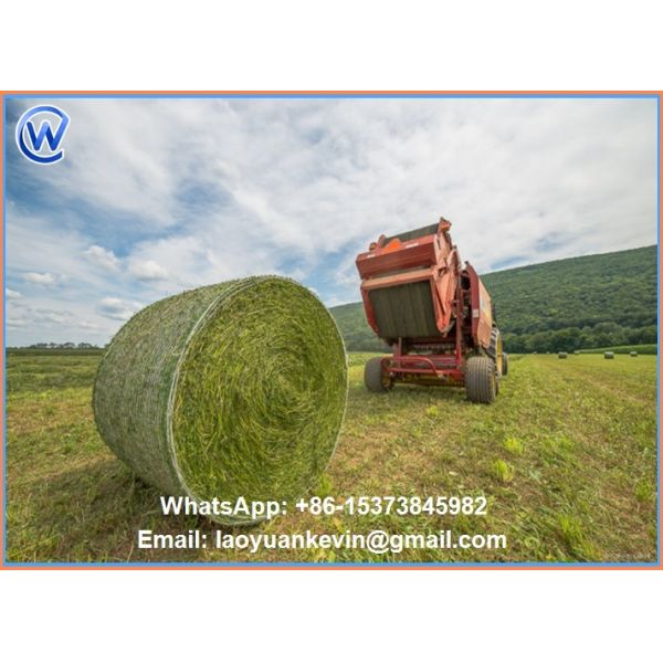 Hot Selling 100% HDPE 10gsm 1*2000m Straw hay bale net wrap with high quality