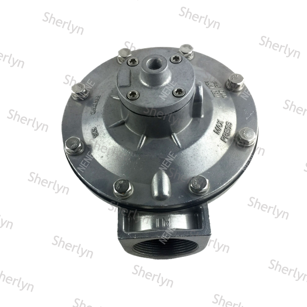 GOYEN Pulse Valve CA50T RCA50T K5004 K5000 2-inch GOYEN Electromagnetic Pulse Valve