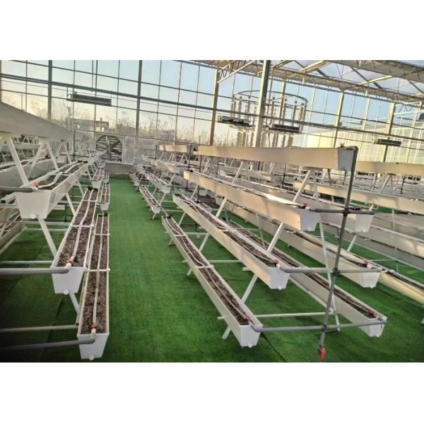 Strawberry Hydroponic Growing System Vertical Planting Cultivation PVC Gutter Indoors For Home