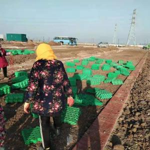 CE/ISO9001/ISO14001 Certified Plastic Grass Paver Grid for Driveway and Parking