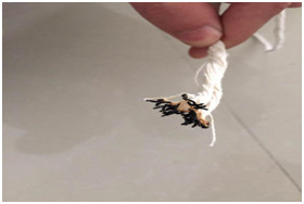 Eco - Friendly Halogeen Free PP Cable Filler Yarn For Dying Flame Retardant