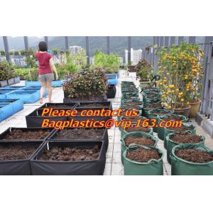 vegetables, fruits, seeds, bedding plants, tomatoes, peppers, cucumbers, tree
