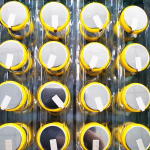 1P17S Cylindrical Lithium Ion Battery Lithium Ion Button Cell For Notebook