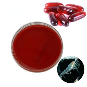 Brain Health Omega 3 EPA DHA Antarctic Krill Oil Softgel with Astaxanthin