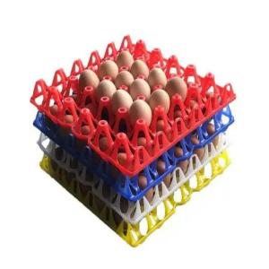 Plastic Egg Board Injection Molding Machine Customized Board Making Machine