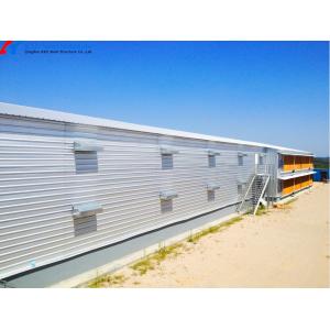 Prefabricated Steel Poultry Shed with Automatic Feeding and Drinking Systems