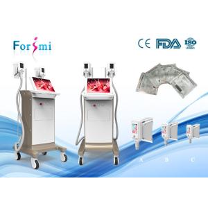 Cheap body fat removal 1800 W Cryolipolysis Slimming Machine FMC-I Fat Freezing Machine for sale
