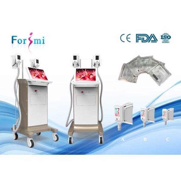 Quality 15 inch screen Cryolipolysis Slimming Machine FMC-I Fat Freezing Machine wholesale