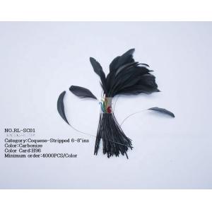 Dyed Pattern Party Decoration Stripped Rooster Coque Feather 12-14inch / 14