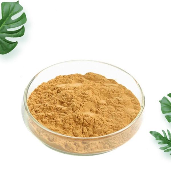 China 99% Stone pine spore Lycoris powder Radiata Extract Galanthamine