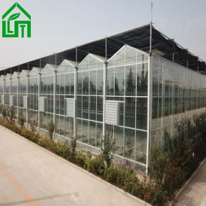 8m Width Glass Greenhouse for Growing Vegetables Stable Structure and Customizab