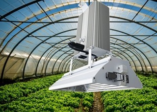 Quality Low Dissipation 630W Horticultural Grow Lights Optimal Cooling For Seed Starting wholesale