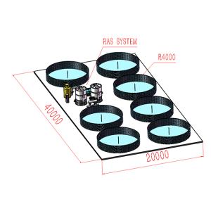 PVC Tarpaulin Ras Recirculating Aquaculture System With Automatic Feeding