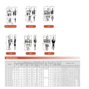Jentan Smooth-Operating Chain Hoist with Multi-Point Support Structure for